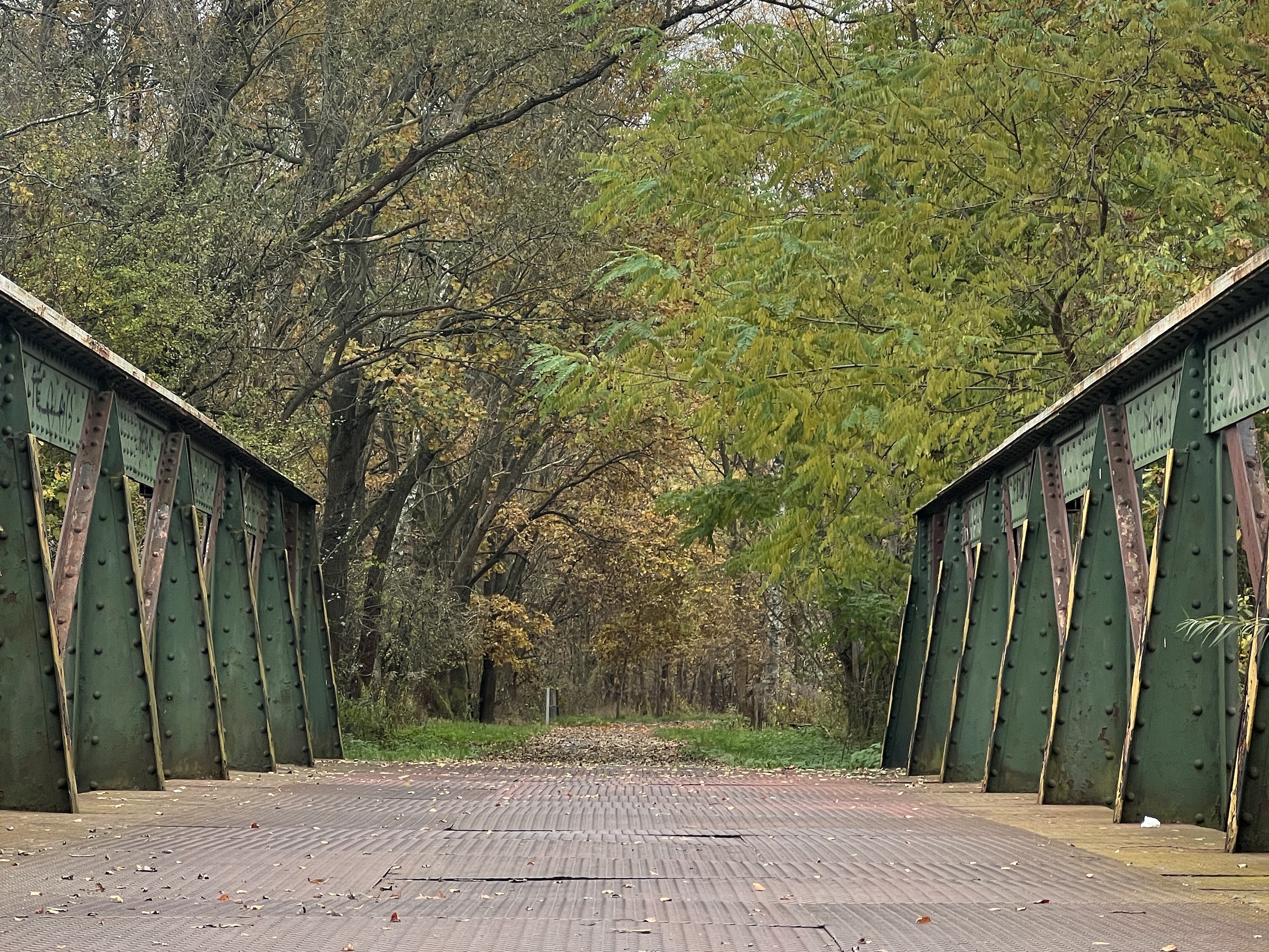 🚴 Cyklostezka Česká Lípa – Vlčí Důl: Průvodce po krásné stezce na bývalé železnici v Libereckém kraji
