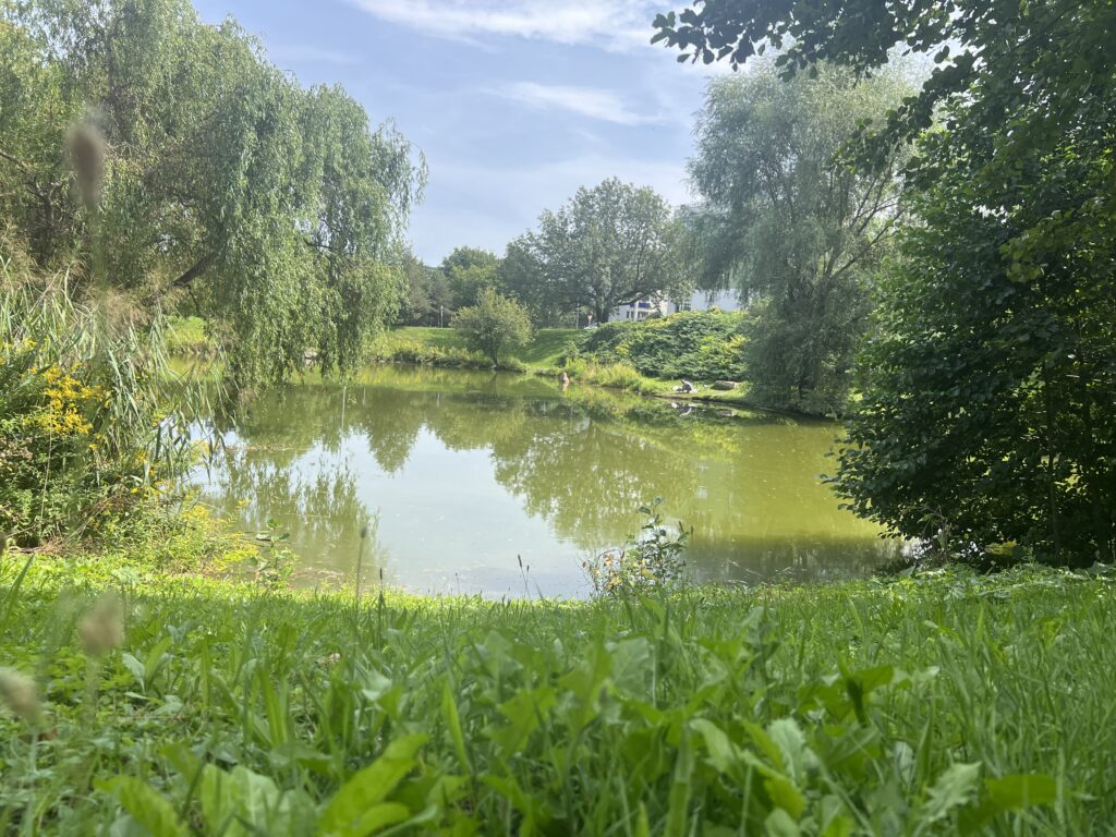 Central park - Kbely