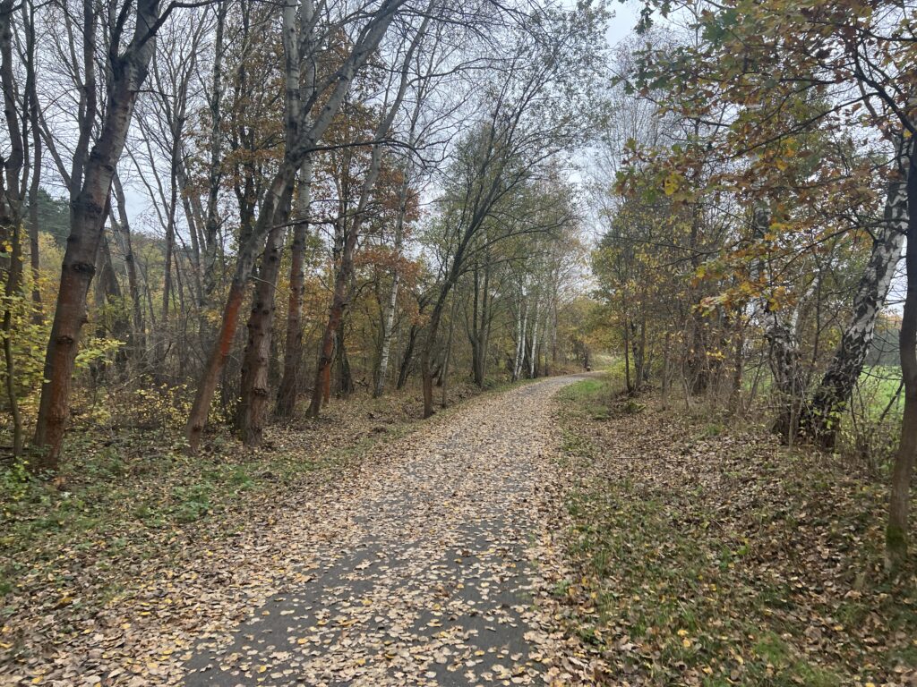 cyklostezka Česká Lípa - Vlčí důl