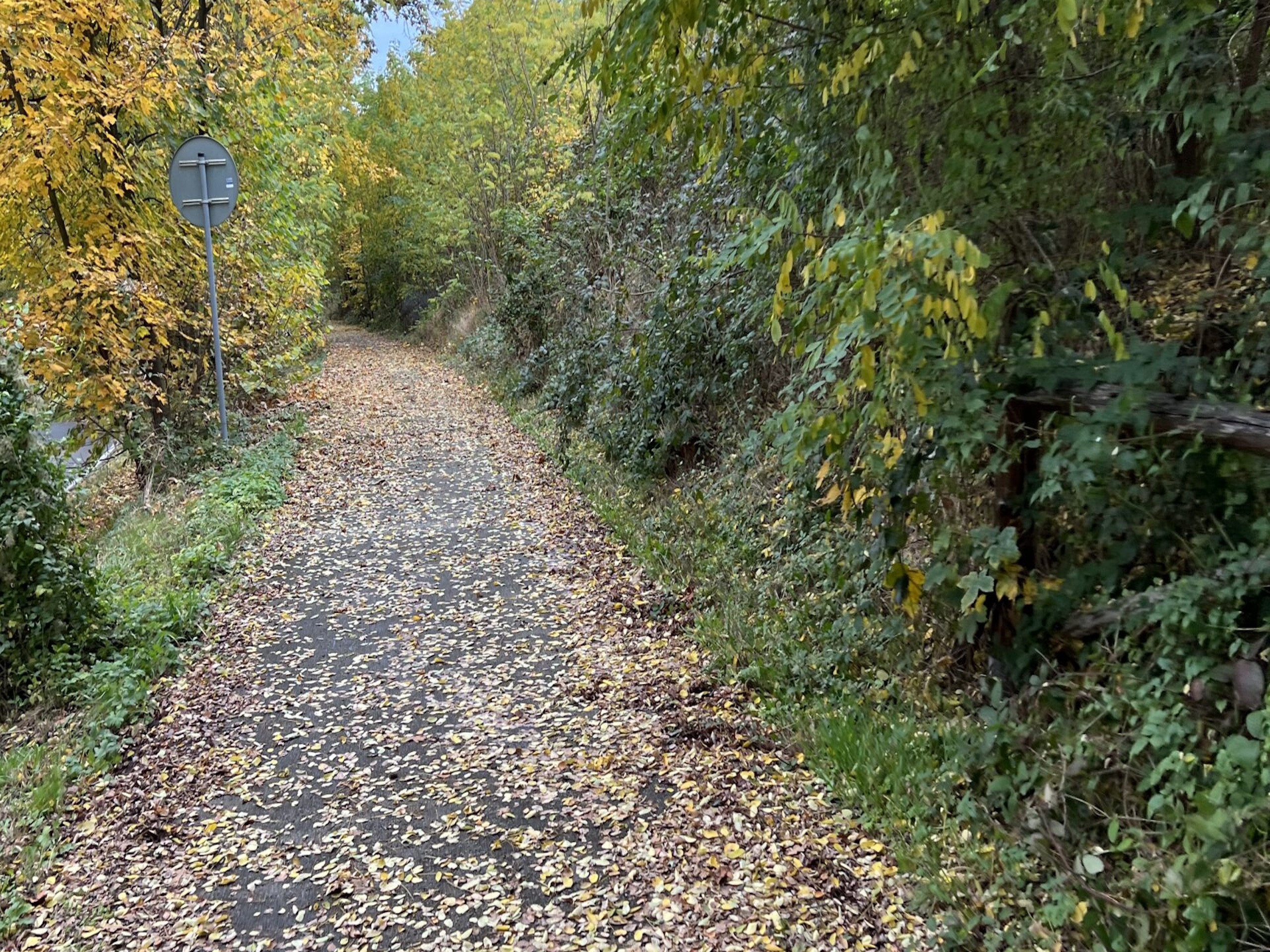 Víte, kde objevit kouzlo přírody a historii cyklistiky v jednom?