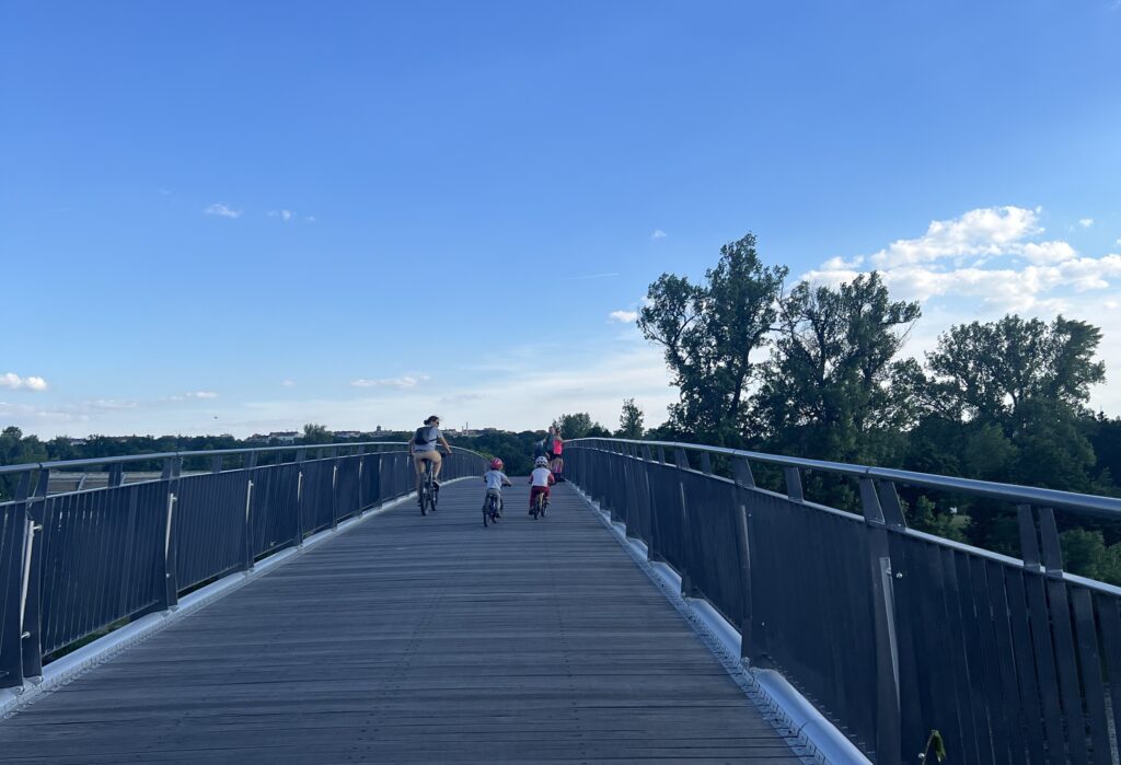 Trojská lávka, Vltava