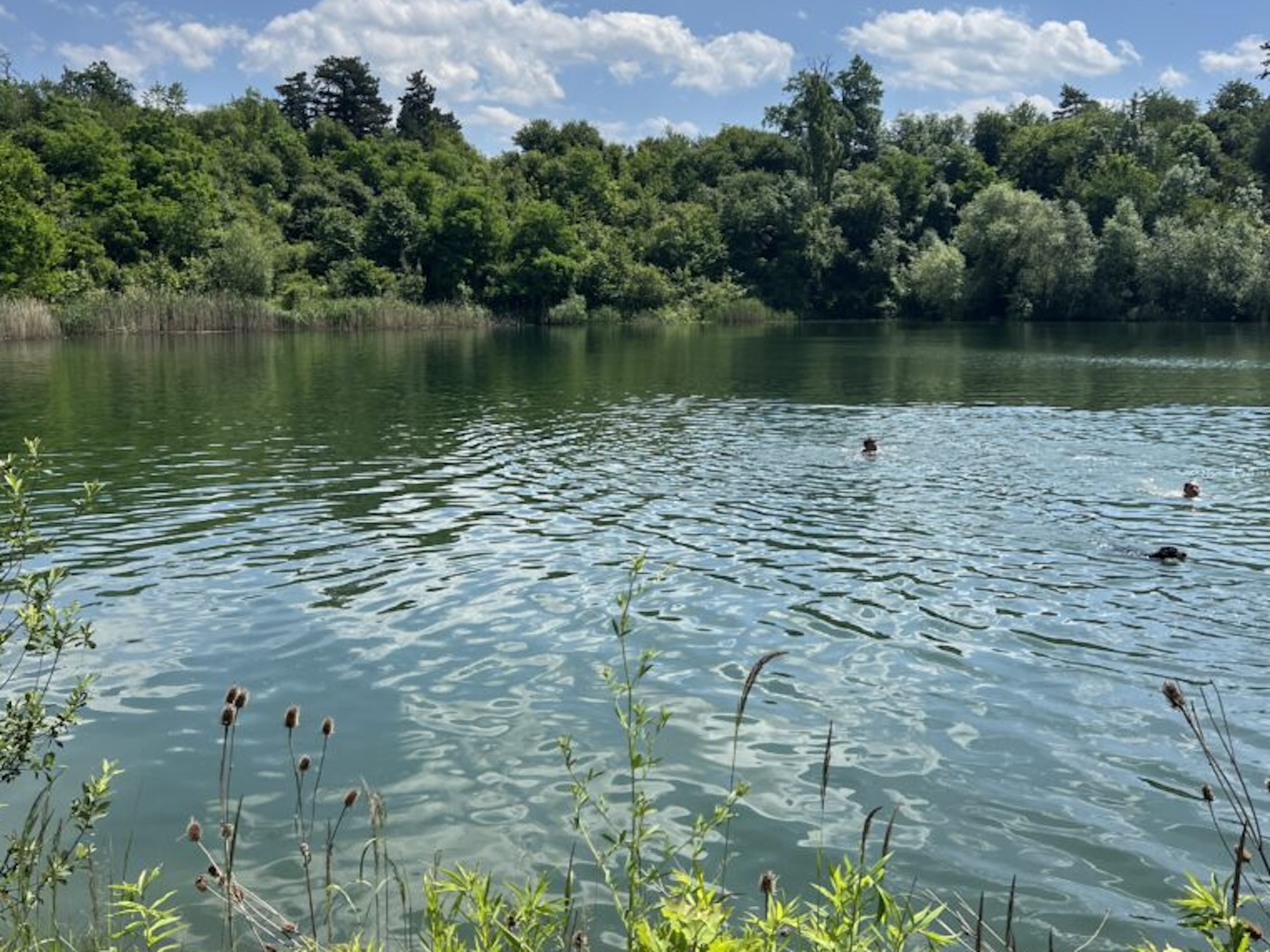 Vyrazte na kola i během horkých dnů! Letní výlet za koupáním do polabských pískoven