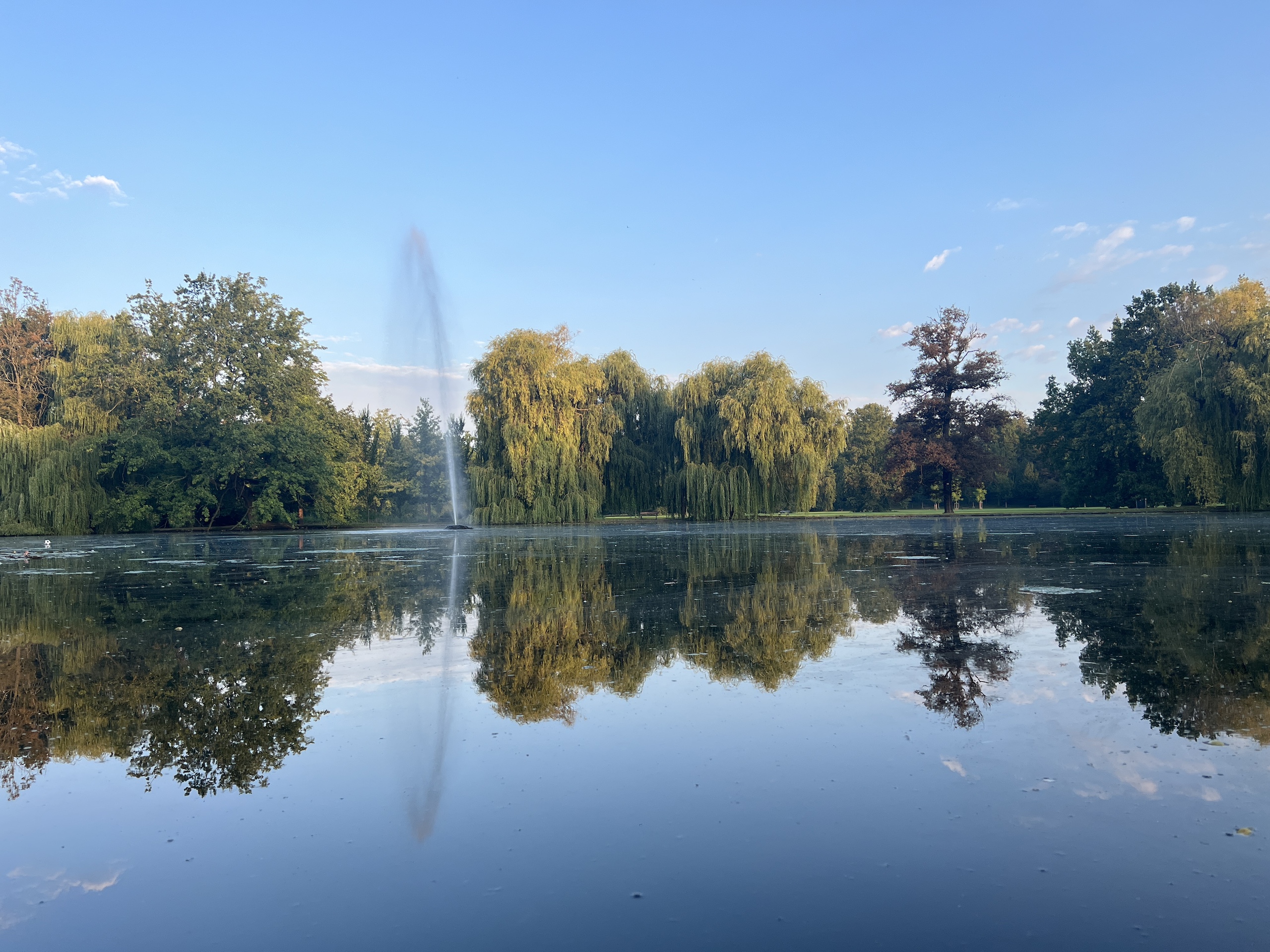 Unikněte městskému shonu: Bezpečná a klidná jízda s dětmi do Stromovky!