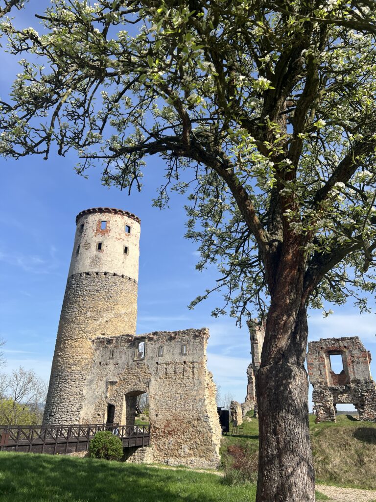 Zřícenina zámku Zvířetice