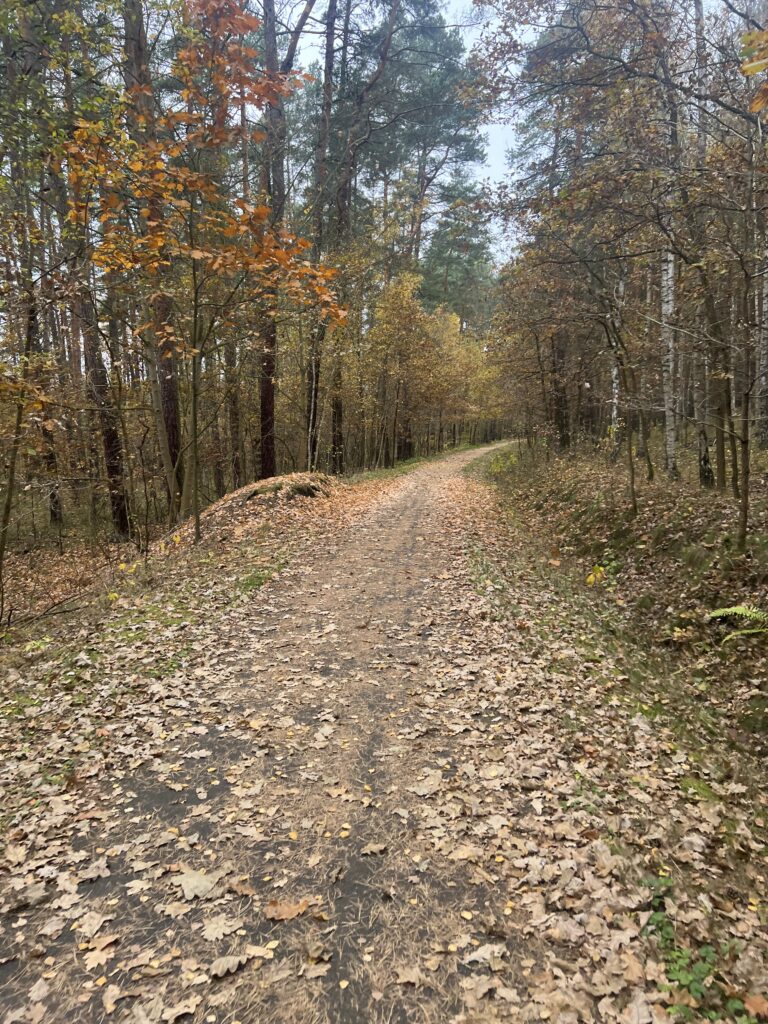 cyklostezka Česká Lípa - Vlčí důl