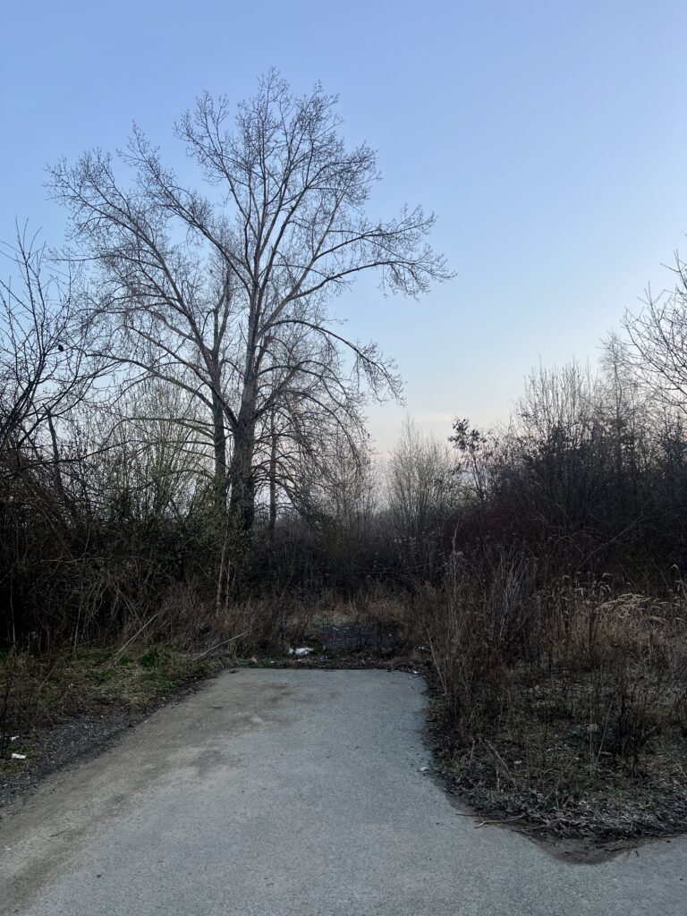 Bývalá železniční vlečka_Čakovice_Letňany_nyní cyklostezka