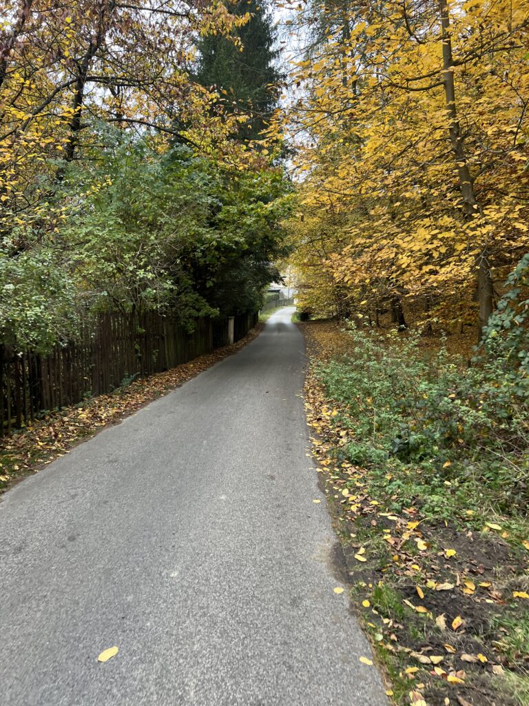 Cesta z hradu Houska