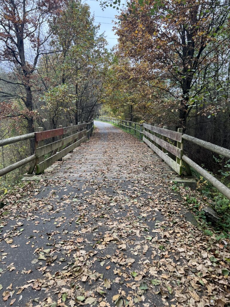 Cyklostezka Varhany_1