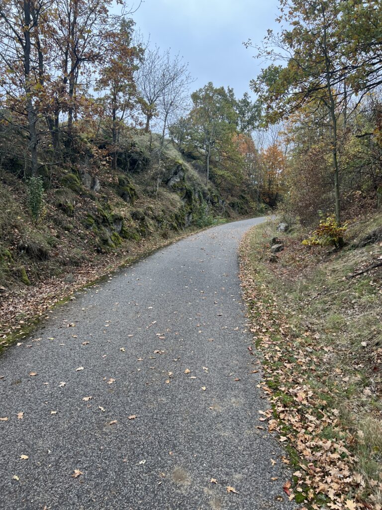 Cyklostezka Varhany_1