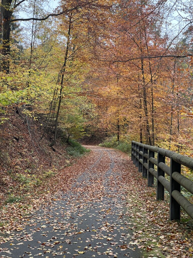 Cyklostezka Varhany_1