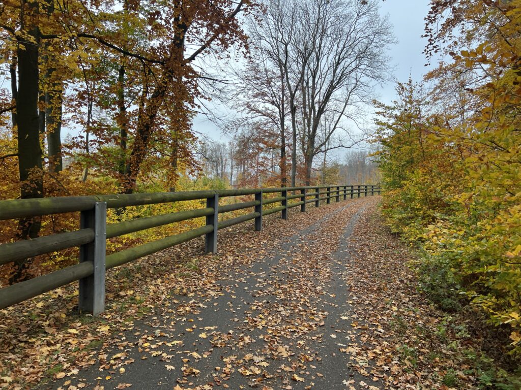 Cyklostezka Varhany_1