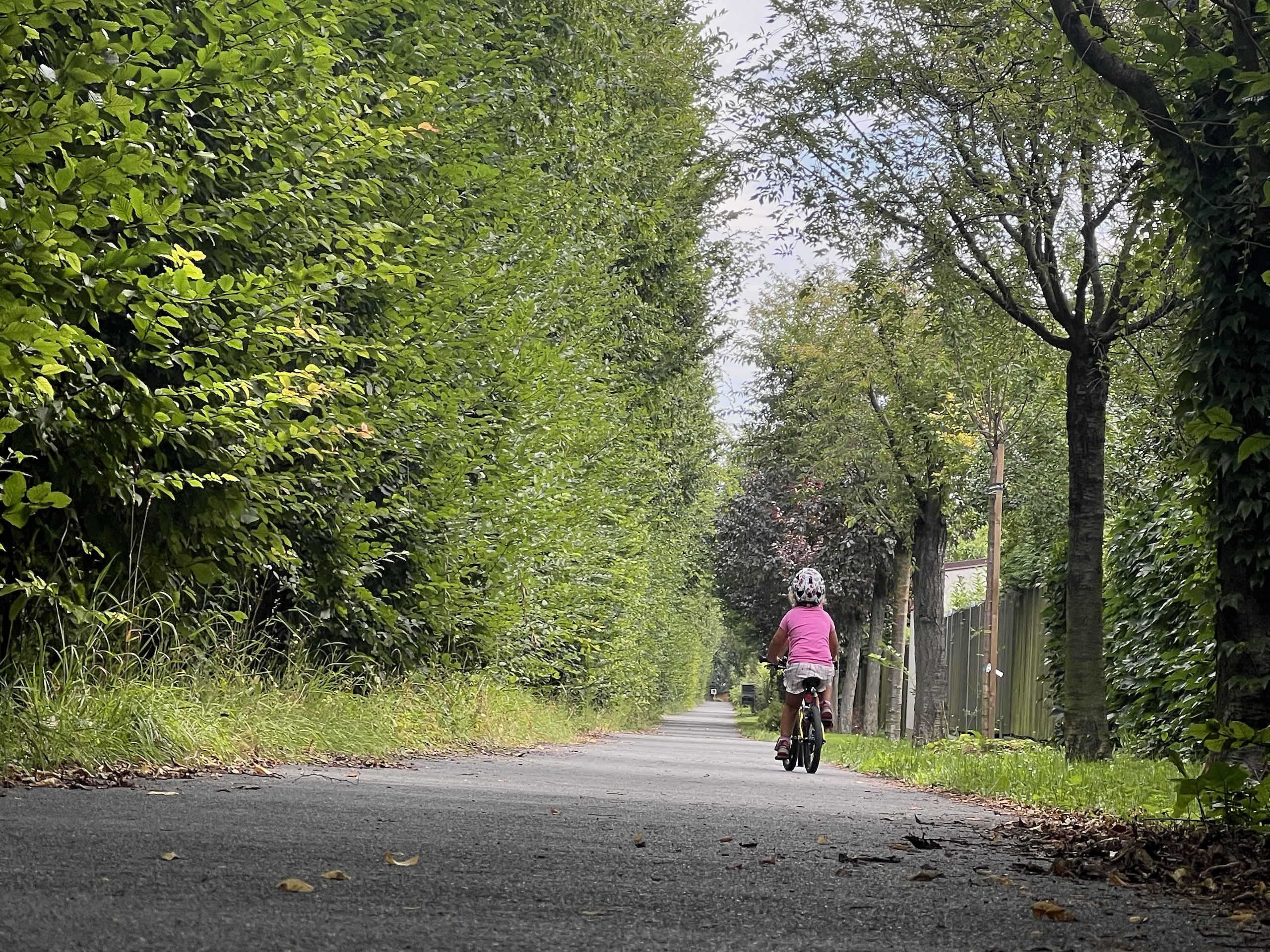 🚴 Z Prahy na Labskou cyklotrasu: Cyklovýlet po cyklotrase č. 17 – Greenway Jizera