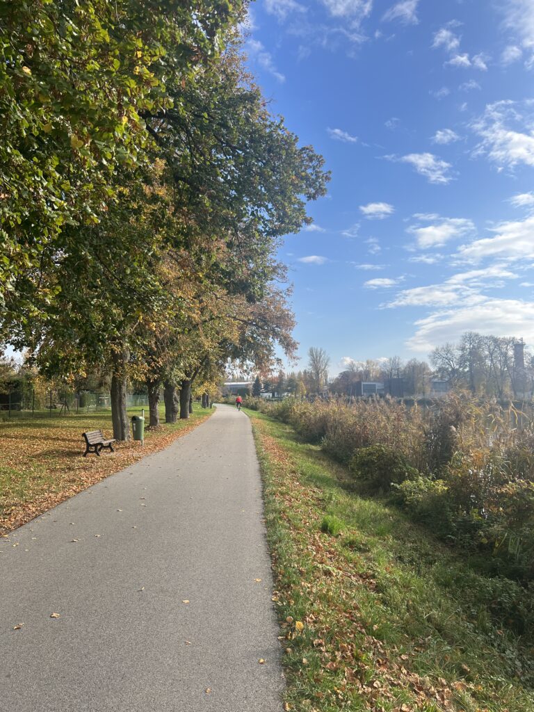 Labská stezka_Nymburk-Poděbrady