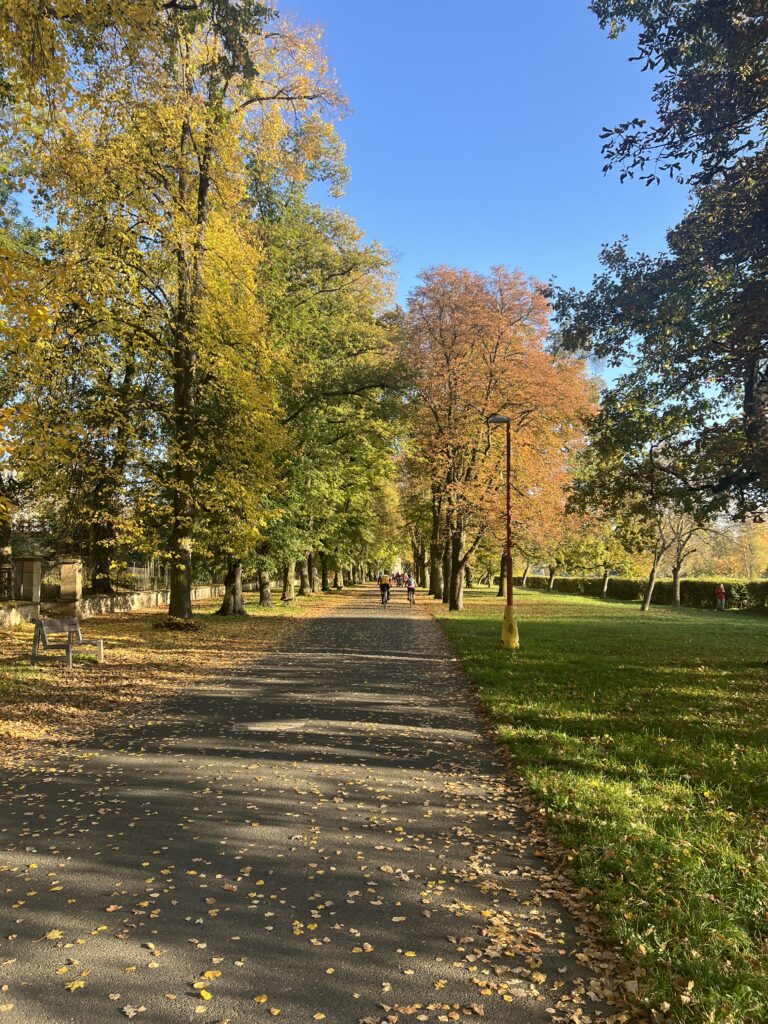 Labská stezka_Nymburk-Poděbrady2