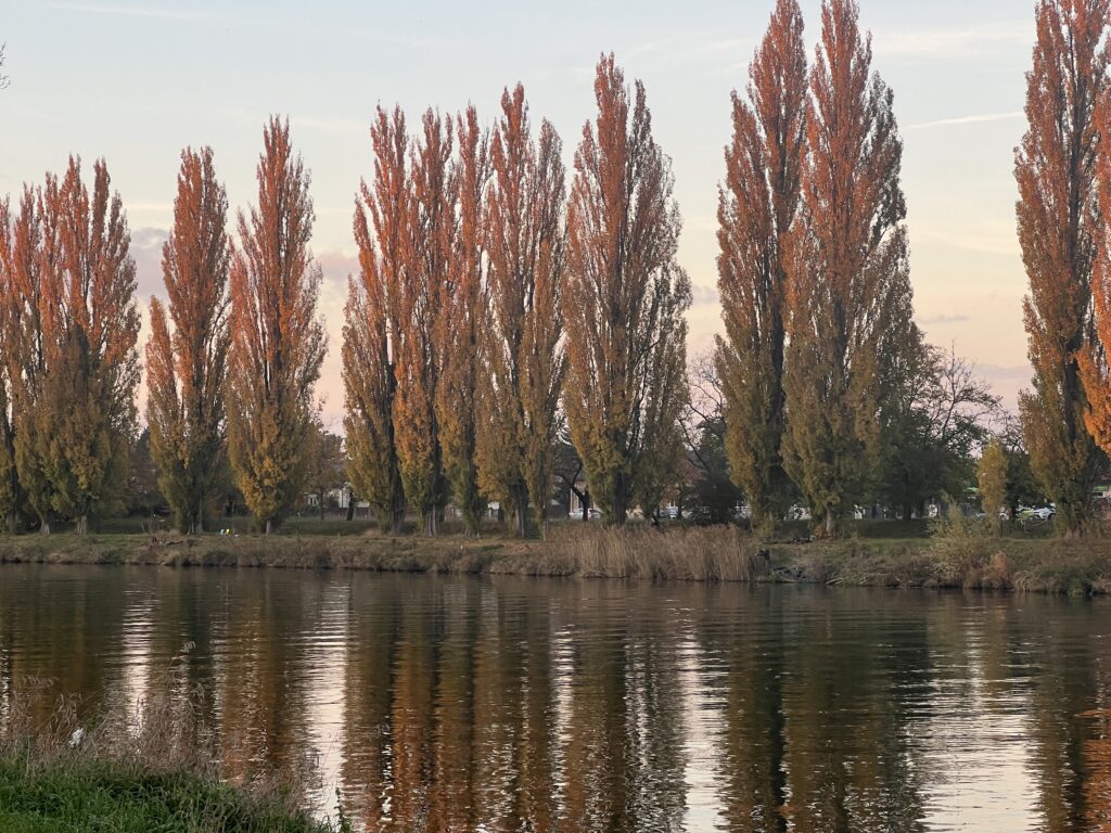 Labská stezka_Nymburk-Poděbrady4