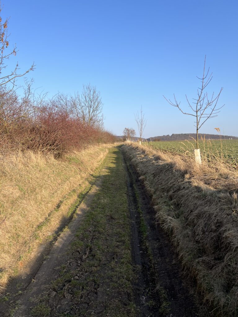 Polňačka_Čertovka