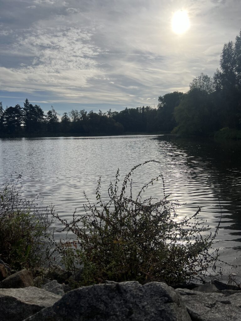 Rybník Vodice_Praha Uhříněves