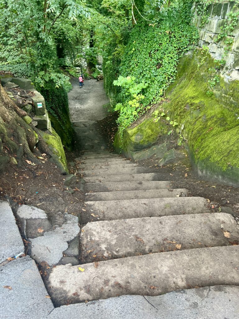 Schody od Hrubé skály