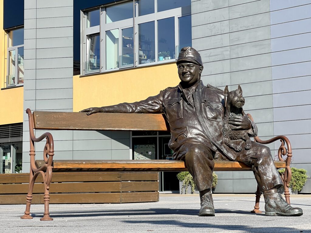 Dobrý voják Švejk