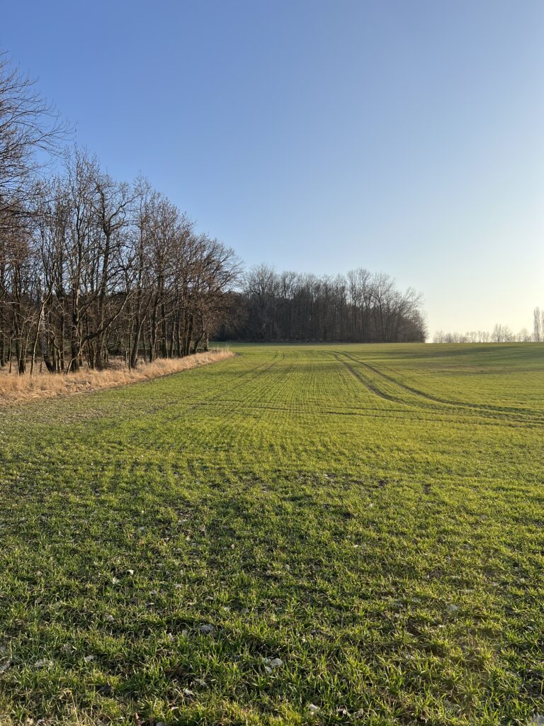 Stříbrná stezka