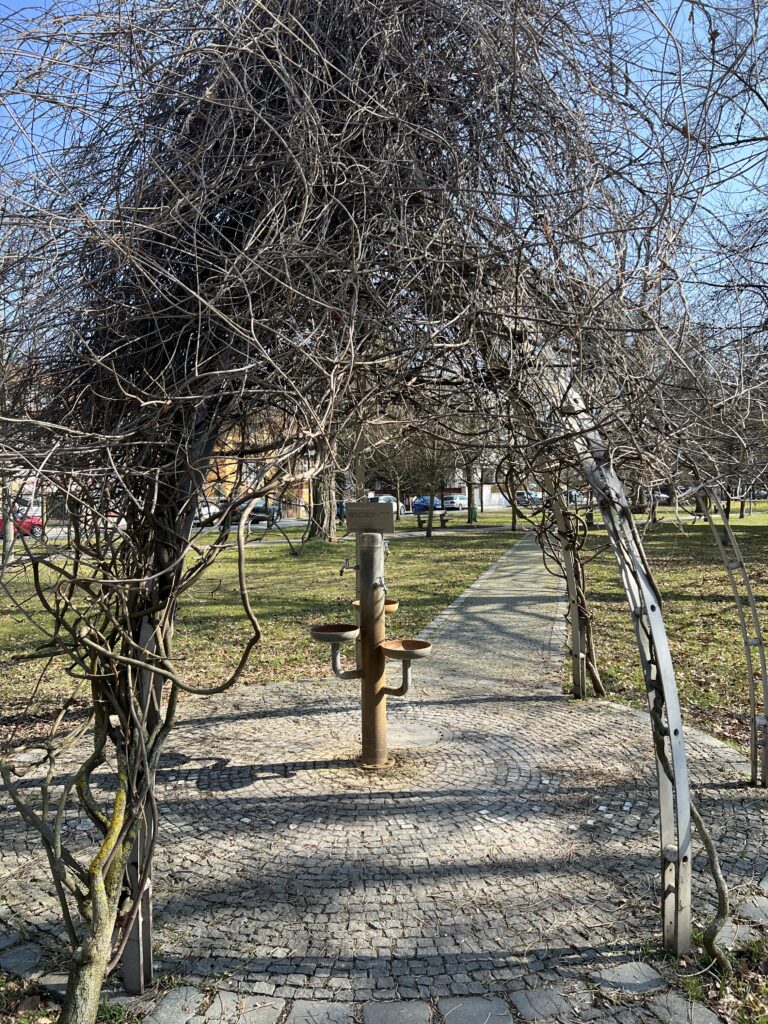 Svatojánský pramen_Poděbrady_Labská stezka