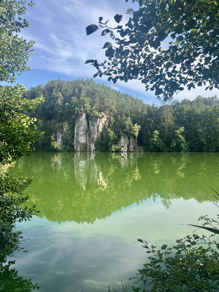 Věžický rybník