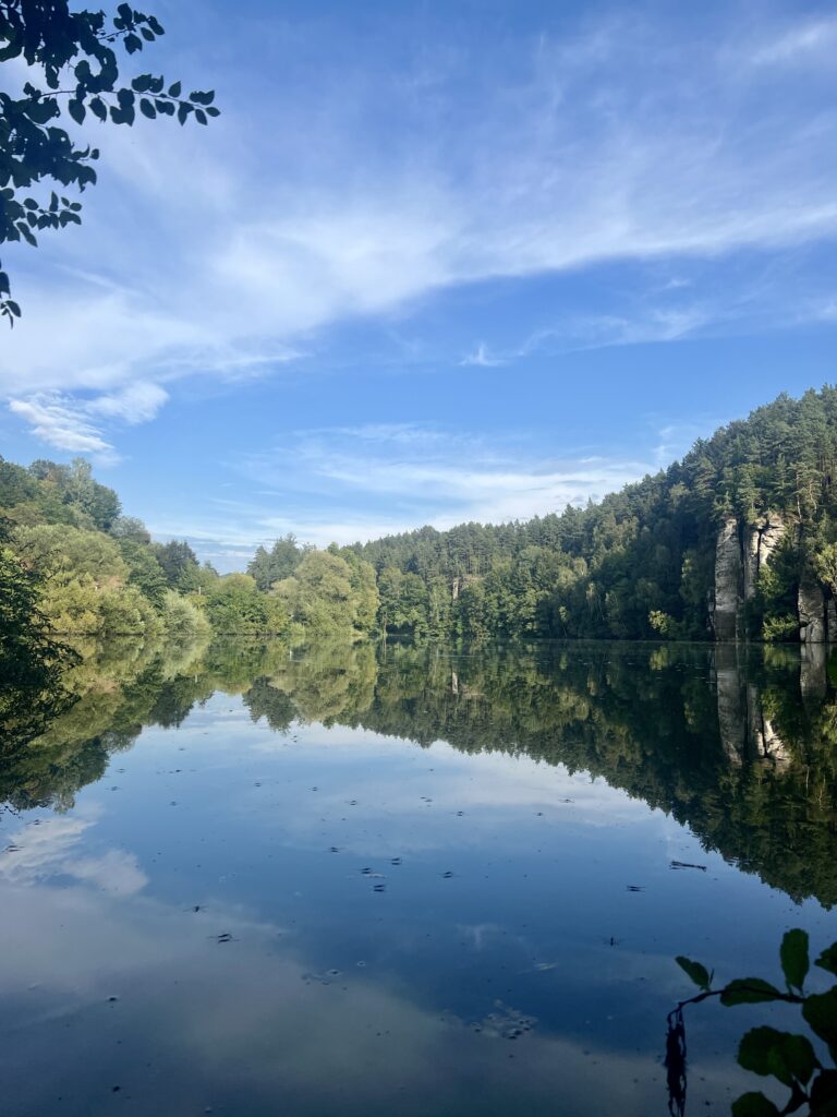 Věžický rybník