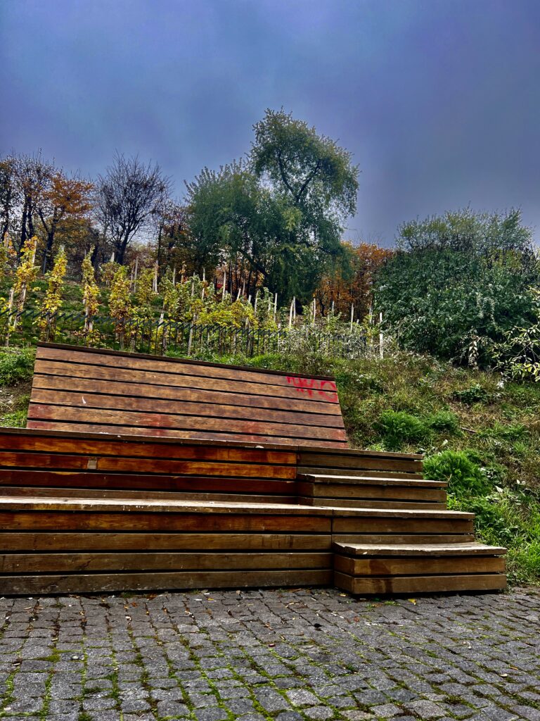 Vinice_Cyklostezka Vítkov_po bývalé železniční trati