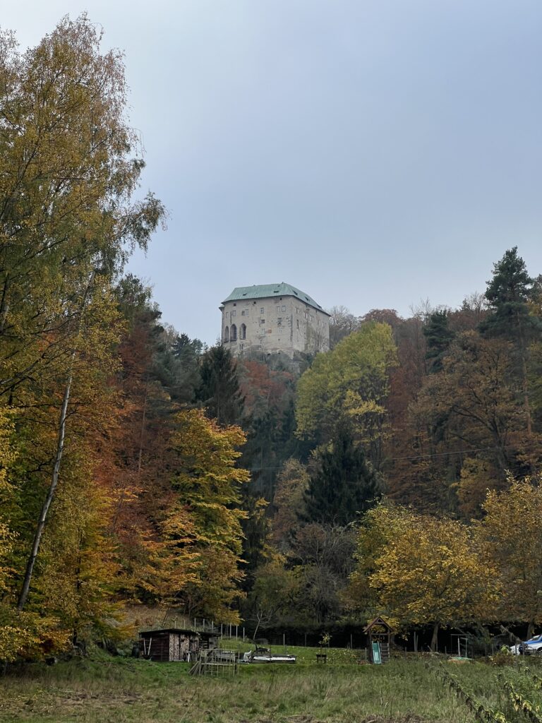 Výhled na hrad Houska