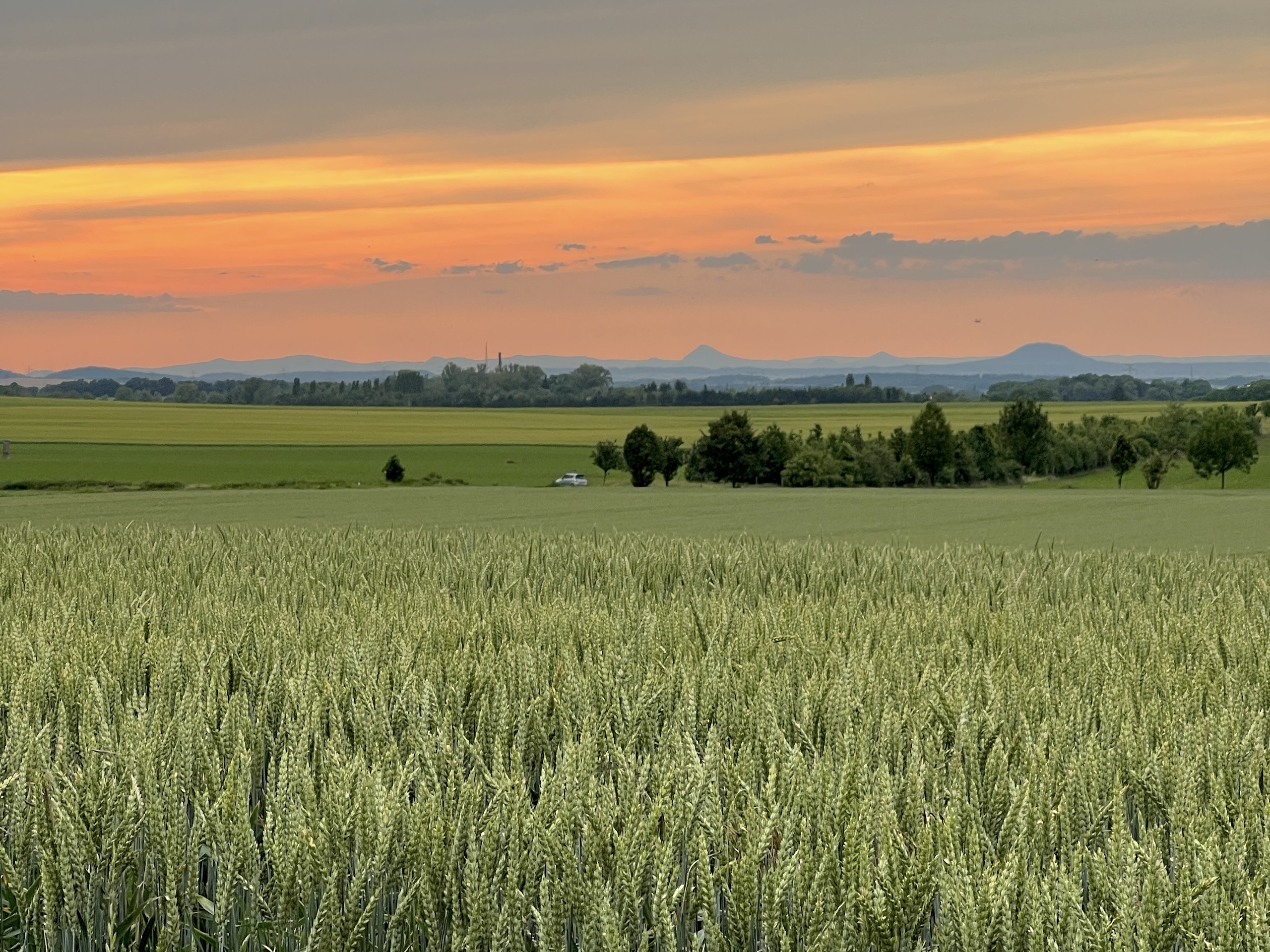🚴 Cyklovýlet z Prahy k Labi 2: Z Letňan do Brandýsa nad Labem po cyklostezkách