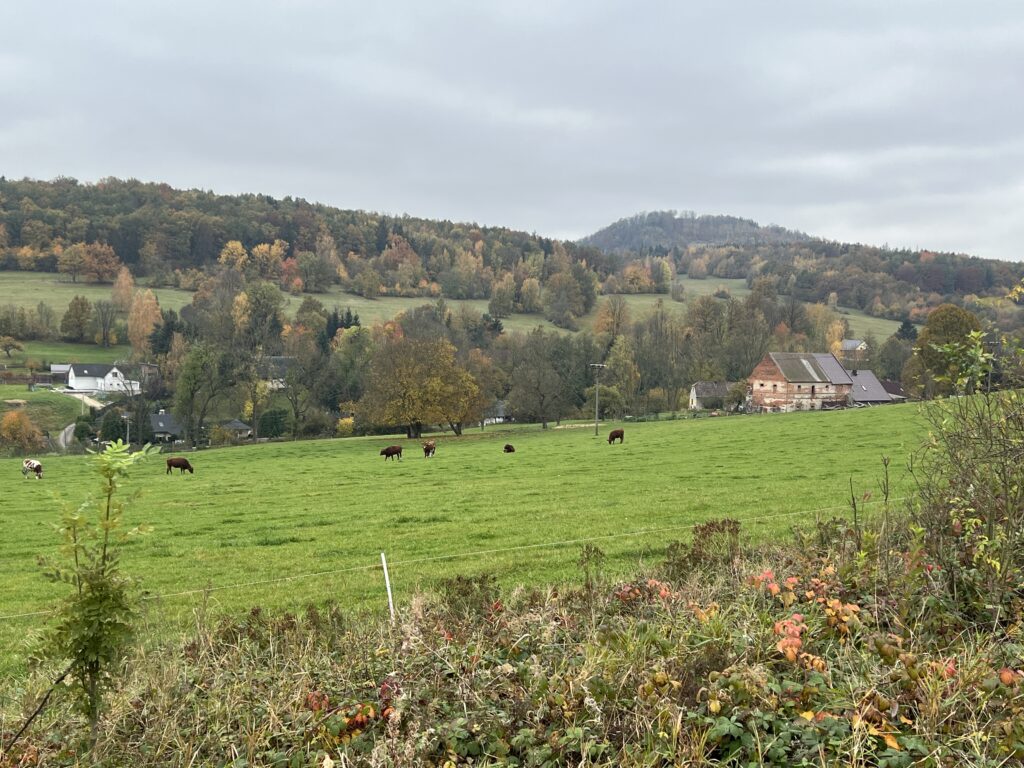 Výhled z cyklostezky Varhany