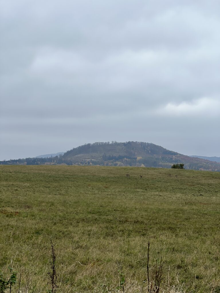 Výhled z cyklostezky Varhany_2