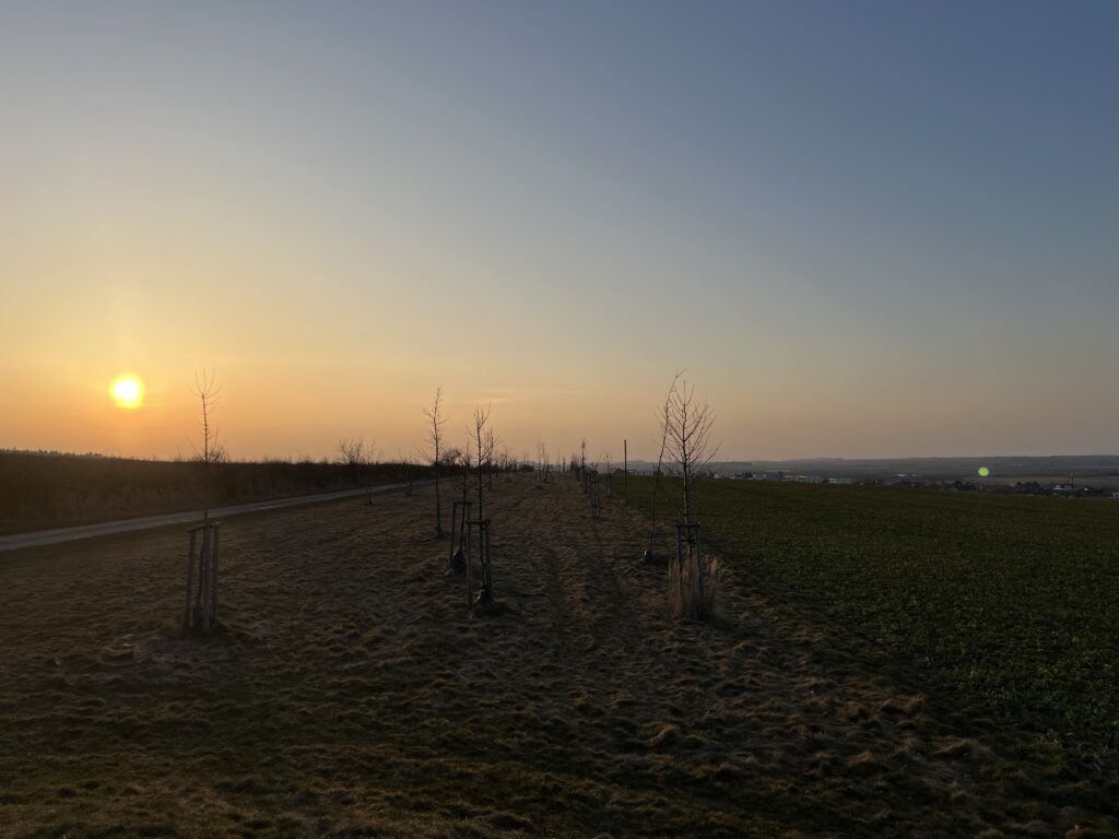 Výhled1_Červené Pečky