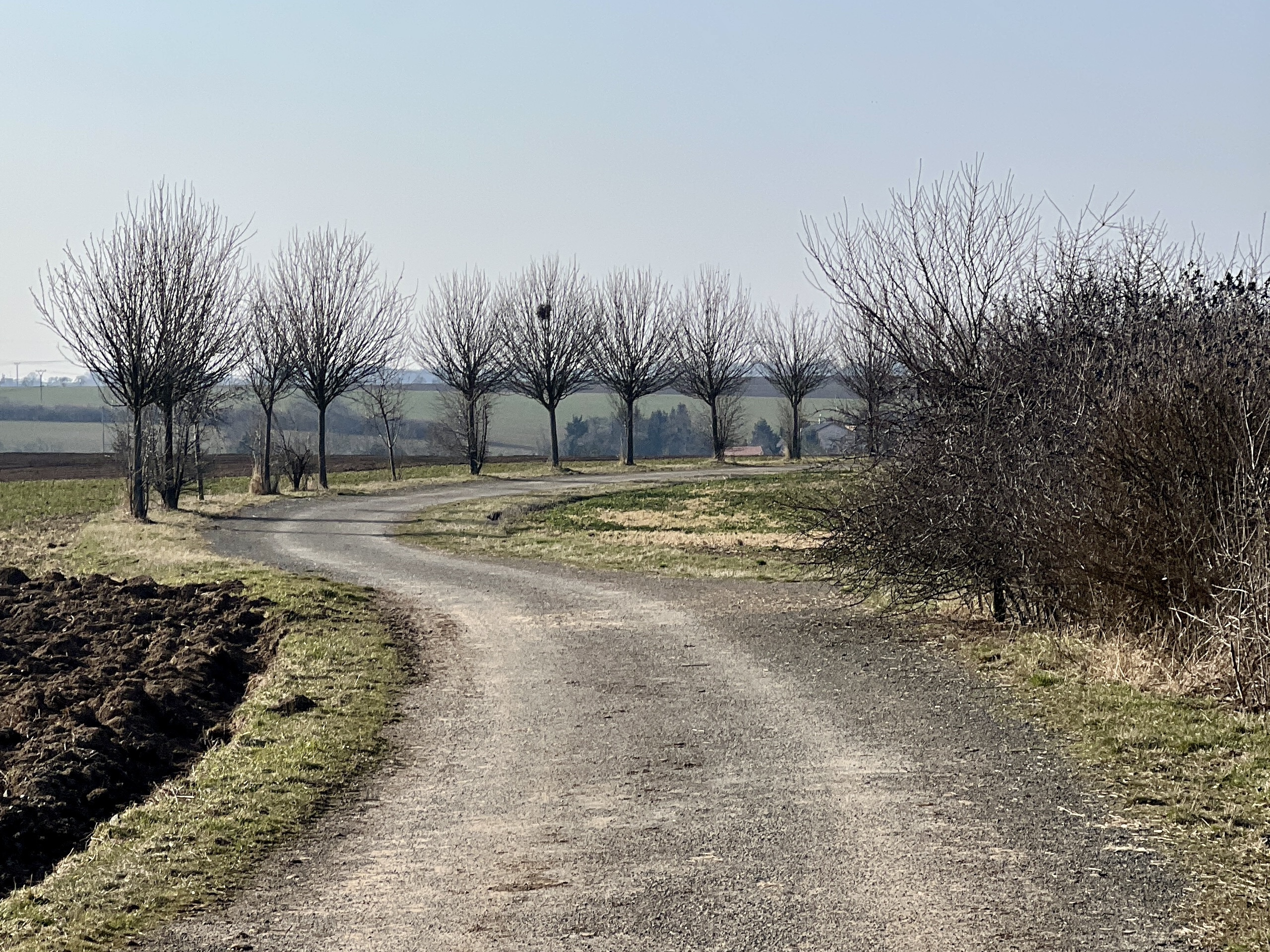 🚴 Cyklotrasa Ratbořský okruh: Polní cesty, zámky a trocha dobrodružství kousek od Kolína