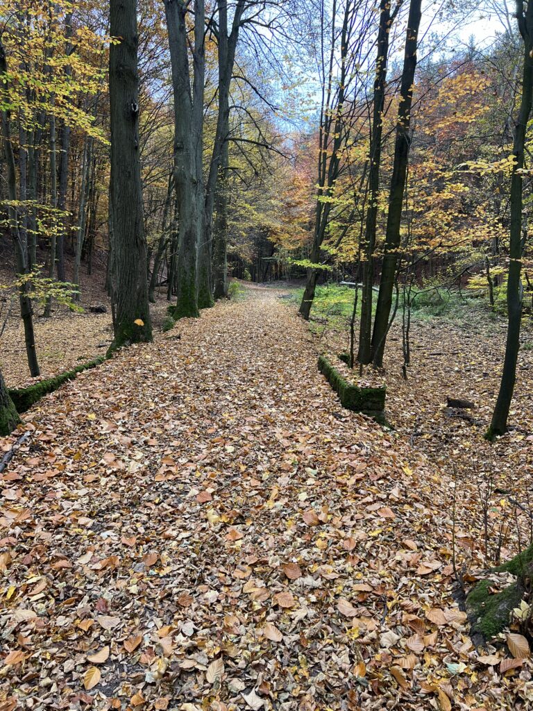 Zámecká cesta_Houska_Kokořínsko