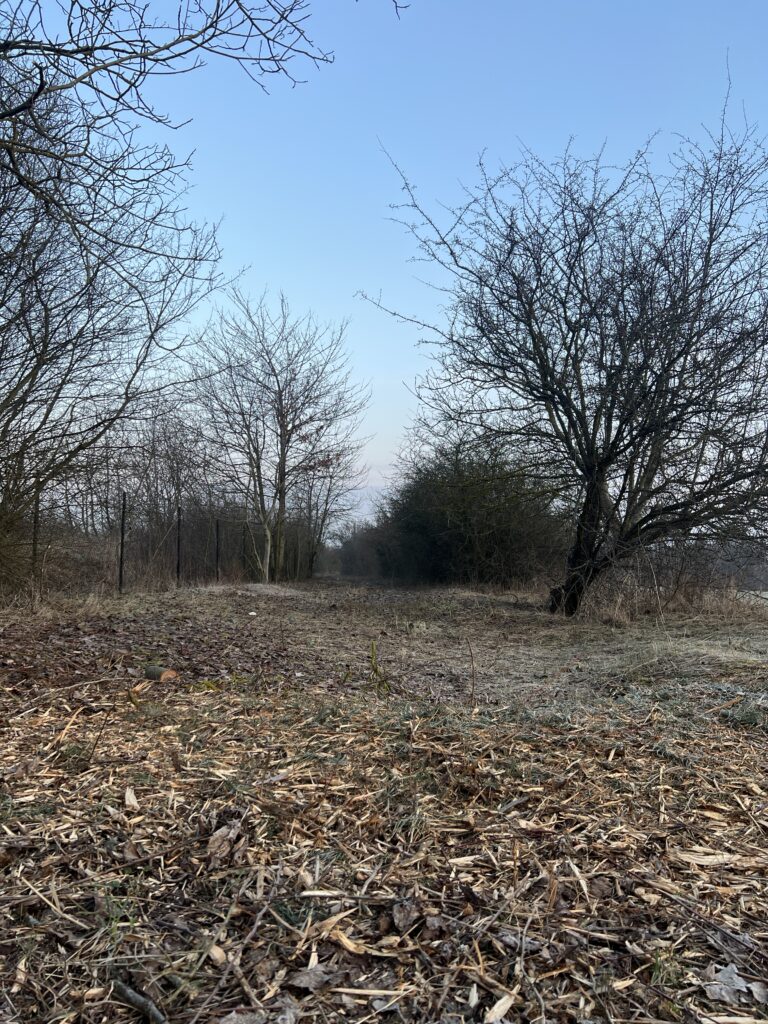 bytky železniční vlečky Čakovice_Letňany