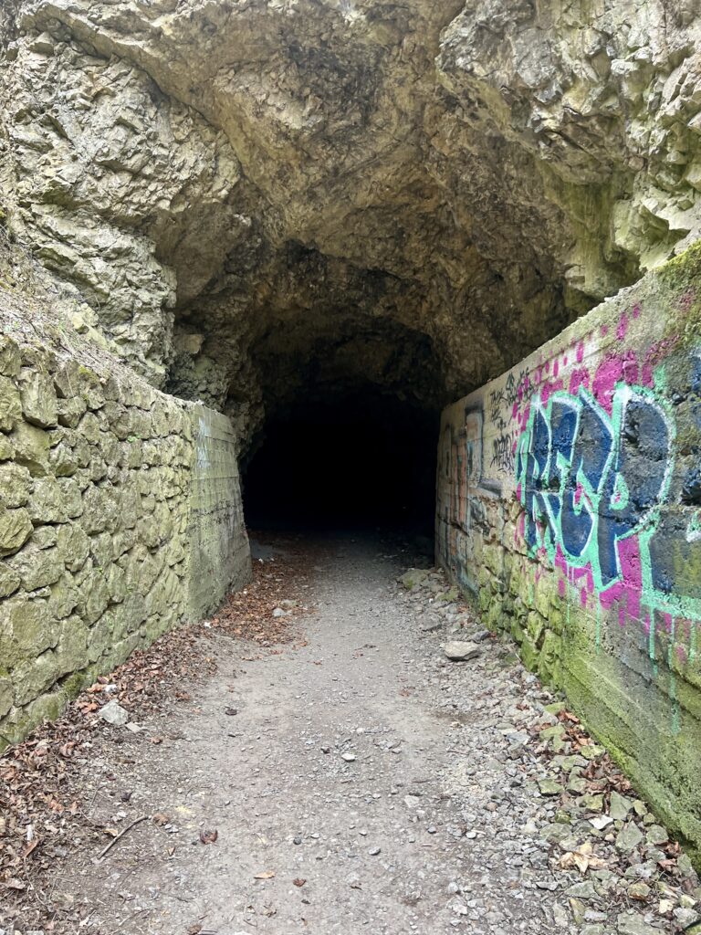Bývalá dopravní štola_Tunel_Prokopské údolí