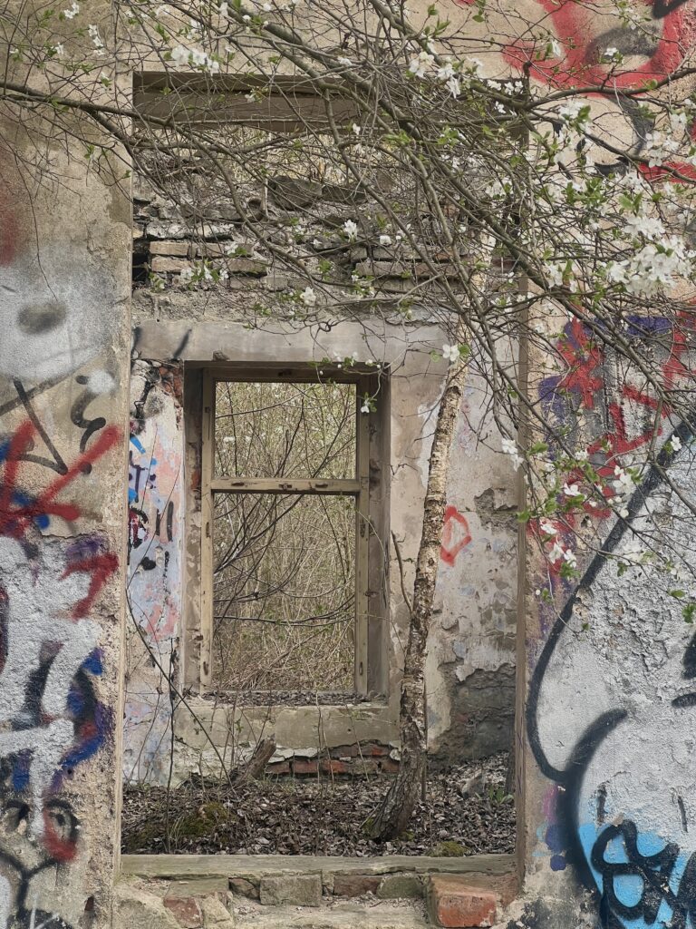 Bývalá vápenka Biskup, Kvis & Vápenka_1_Údolí Dalejského potoka