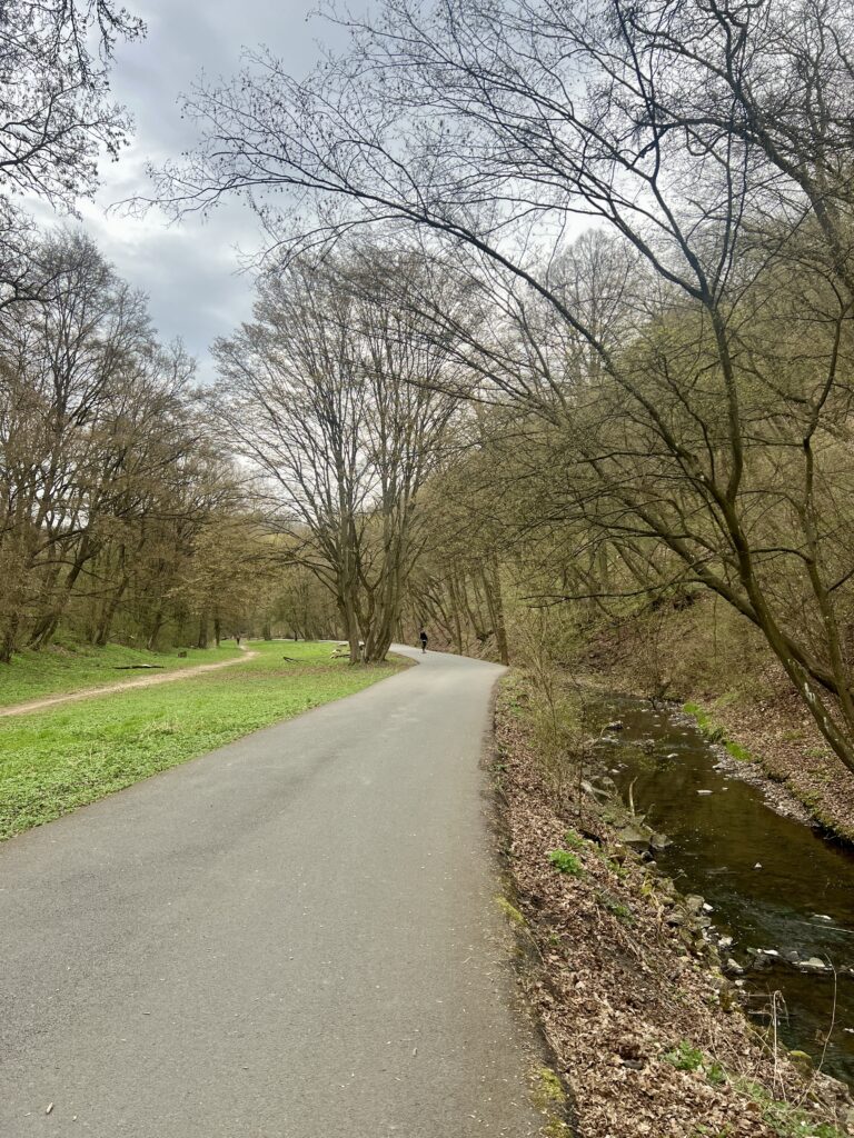 Cesta Prokopským údolím_Prokopské údolí