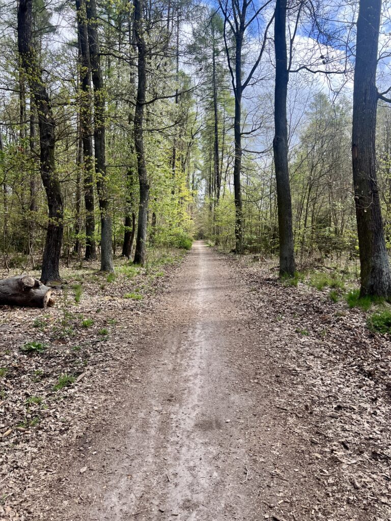 Cesta k Hornickému skanzenu Mayrau_Kladno