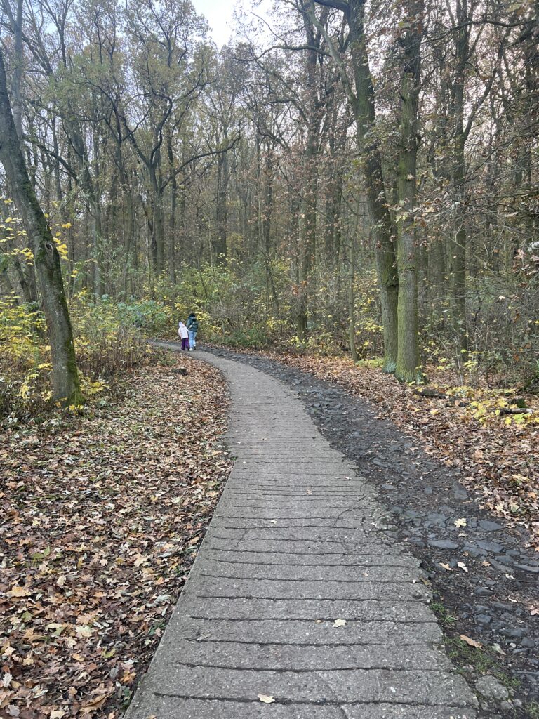 Cesta na Říp_Říp