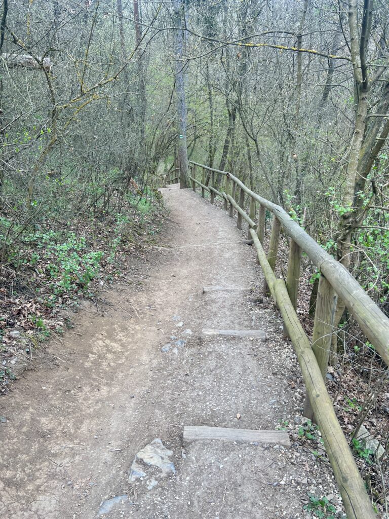 Cesta po schodech_Údolí Dalejského potoka
