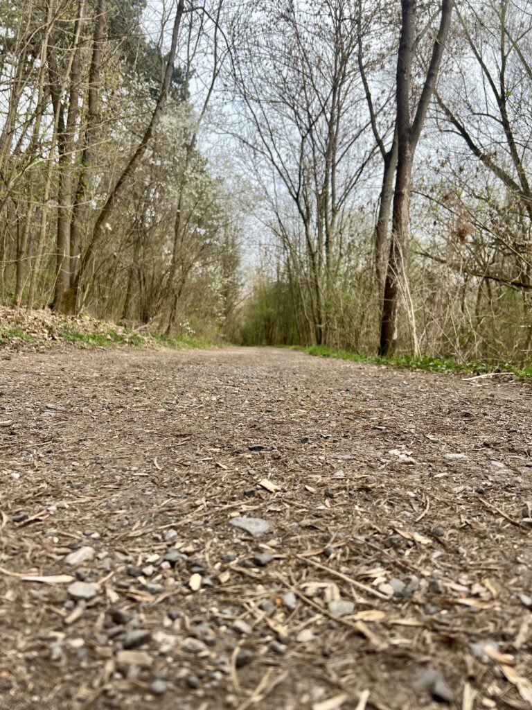 Cesta_Údolí Dalejského potoka