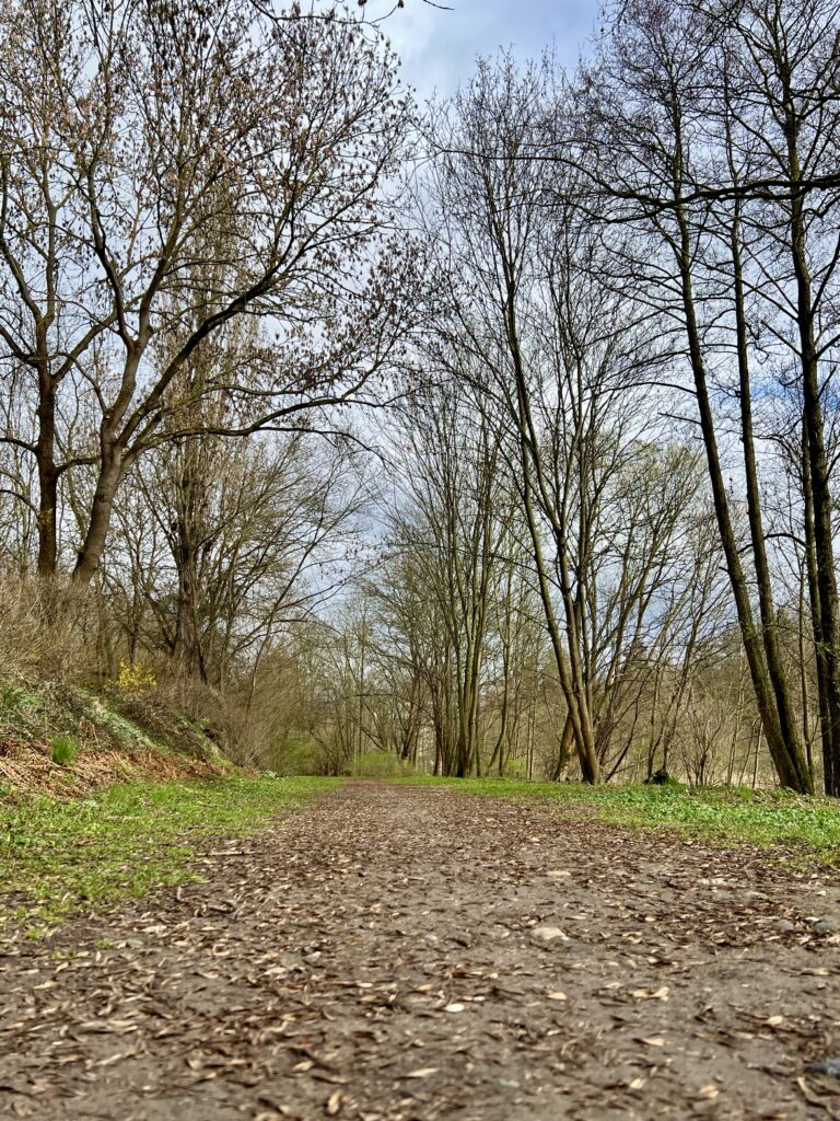 Cyklostezka po zrušené železniční trati_Podlešín