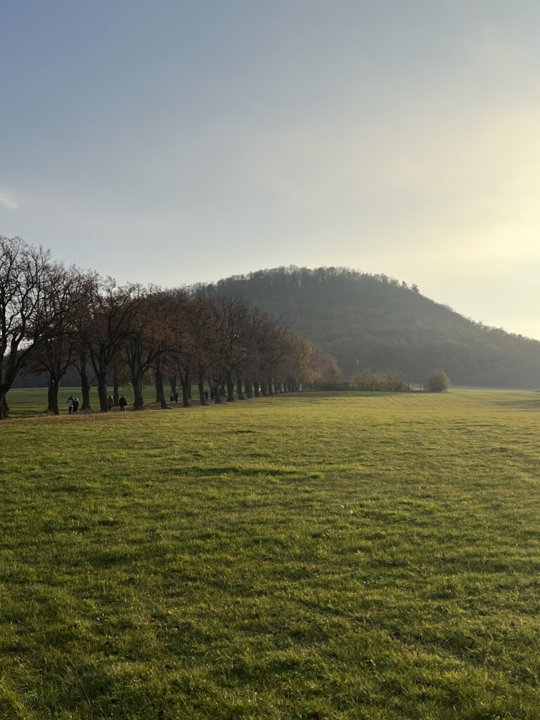 Hora Říp_Říp