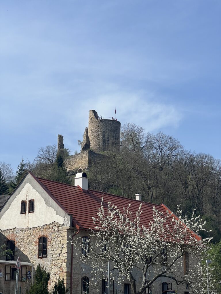 Zřícenina_Hrad Michalovice_Greenway Jizera