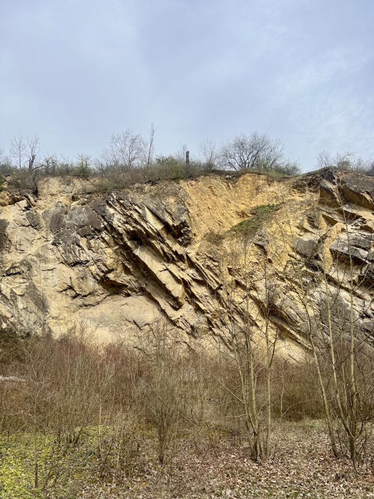 Lom Mušlovka_Údolí Dalejského potoka