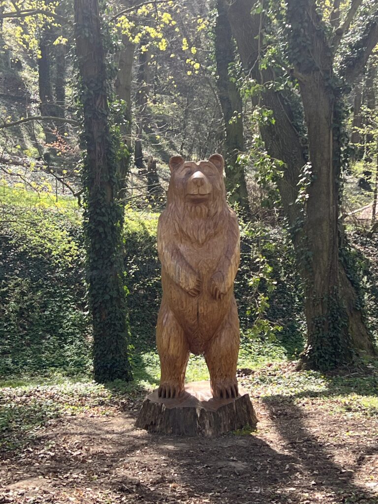 Medvěd u začátku stezky_Benátky nad Jizerou