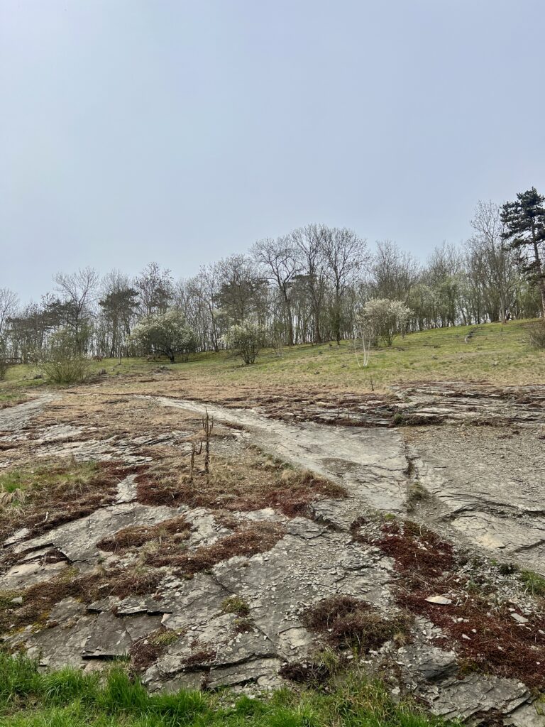 Placatá skála_Údolí Dalejského potoka