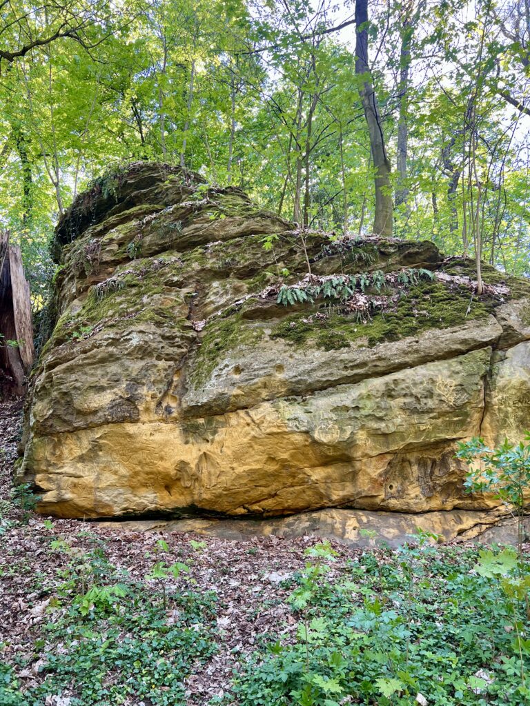 Přírodní rezervace Vinořský park-Vinoř